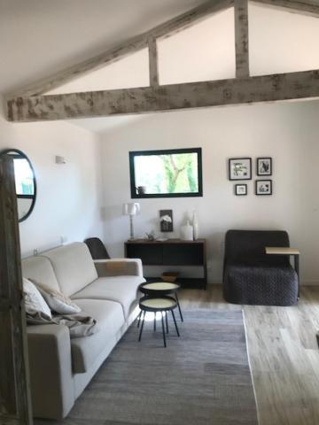 Petit mas provencal 3 pers 1 piece 30 m2 tout confort lisiere foret jardin Jacuzzi Piscine Saint-Paul-en-Forêt Extérieur photo