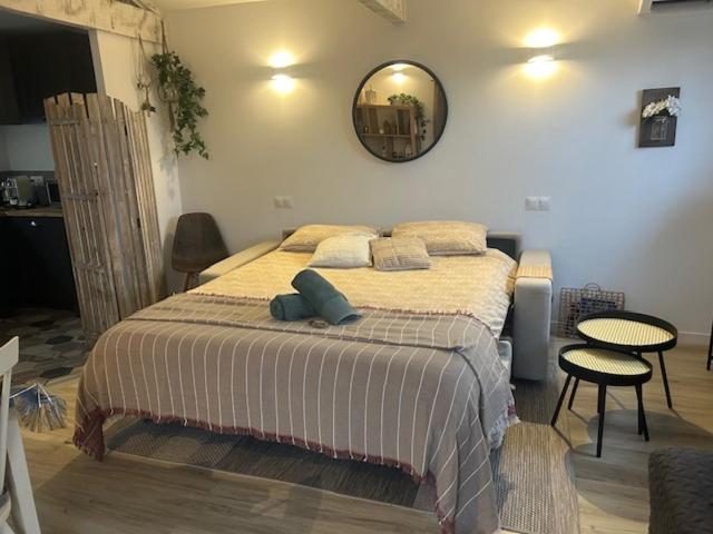 Petit mas provencal 3 pers 1 piece 30 m2 tout confort lisiere foret jardin Jacuzzi Piscine Saint-Paul-en-Forêt Extérieur photo