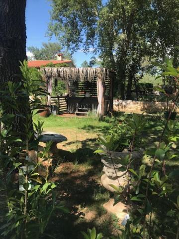 Petit mas provencal 3 pers 1 piece 30 m2 tout confort lisiere foret jardin Jacuzzi Piscine Saint-Paul-en-Forêt Extérieur photo